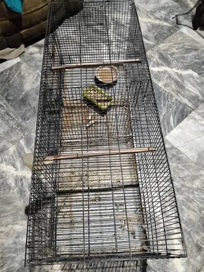 New cage for birds and parrots