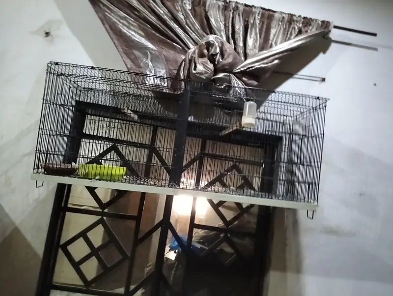 New cage for birds and parrots — photo 2