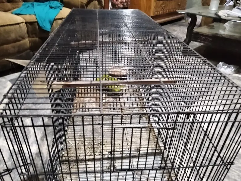 New cage for birds and parrots — photo 3