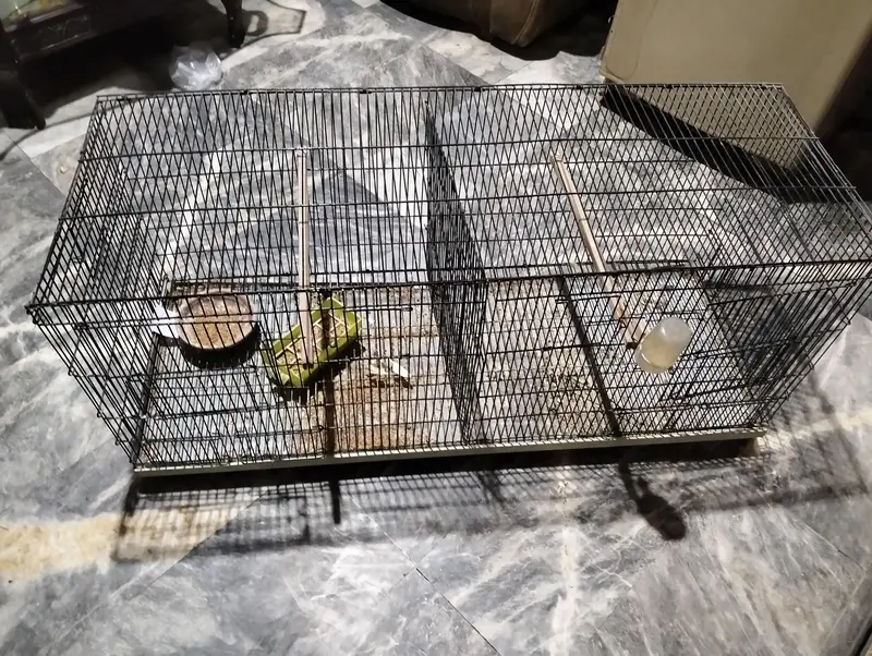 New cage for birds and parrots — photo 4