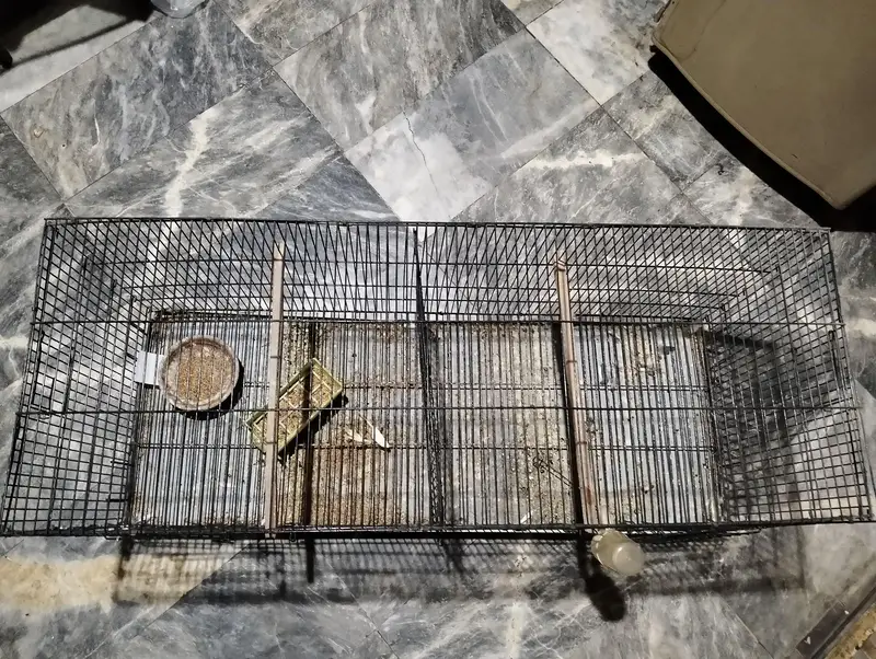 New cage for birds and parrots — photo 5
