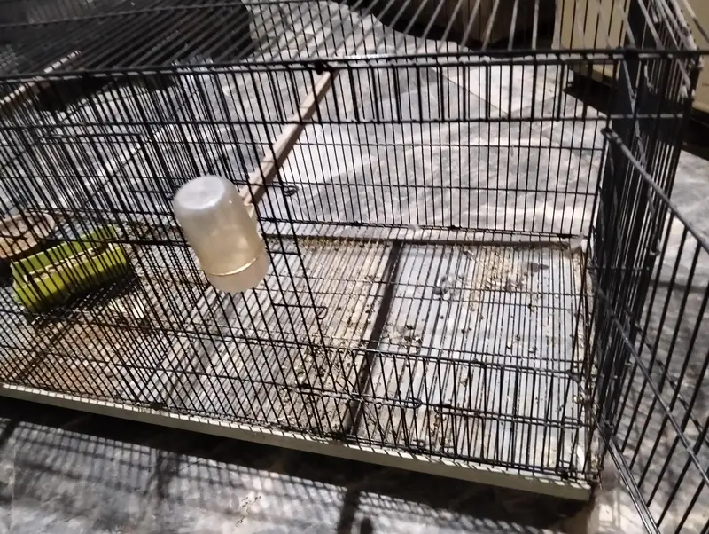 New cage for birds and parrots — photo 6