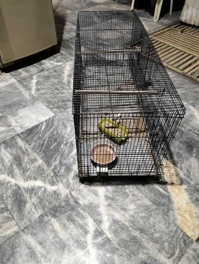 New cage for birds and parrots — photo 7