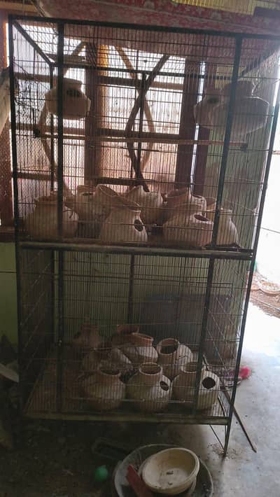 cage for sale