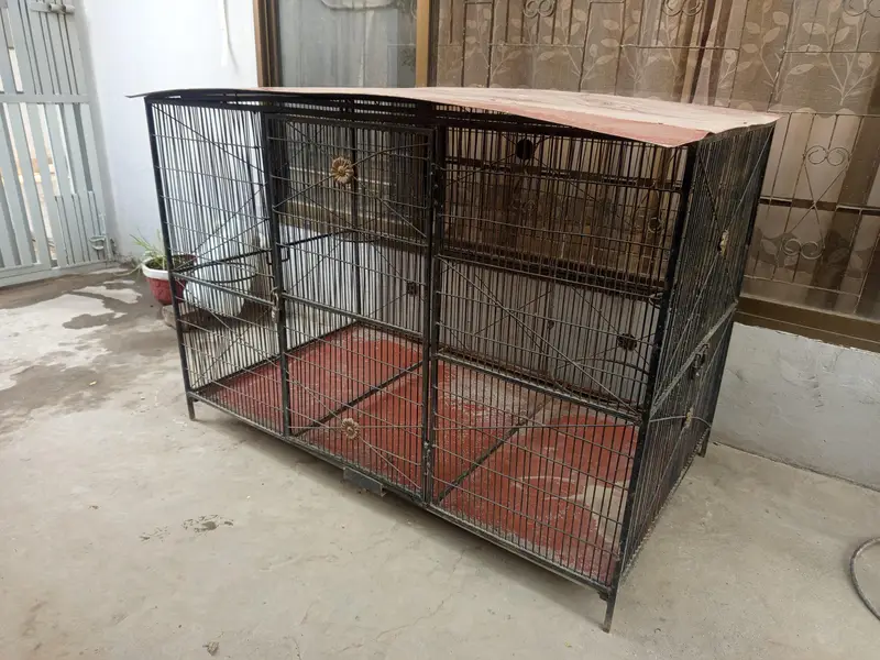 Dog Heavy duty Cage — photo 2