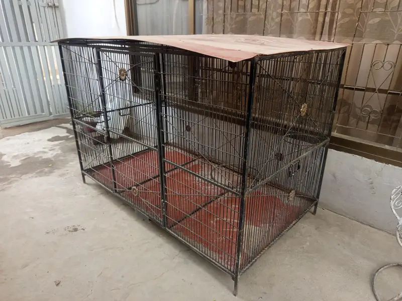 Dog Heavy duty Cage — photo 3