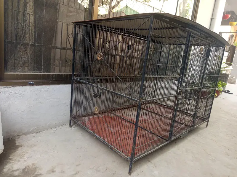 Dog Heavy duty Cage — photo 4