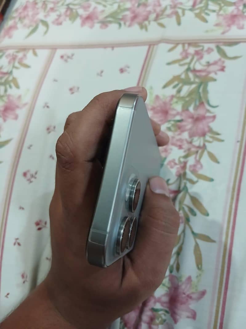 Apple iPhone 15 Pro Max 1