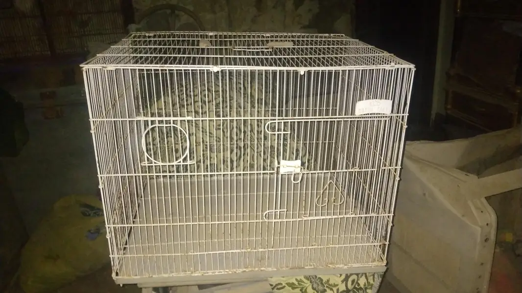 2 cages available ha agar dono cage loge to paisa Kam ho jay ge — photo 2
