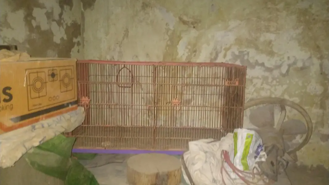 2 cages available ha agar dono cage loge to paisa Kam ho jay ge — photo 3