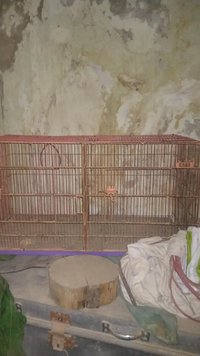 2 cages available ha agar dono cage loge to paisa Kam ho jay ge — photo 4