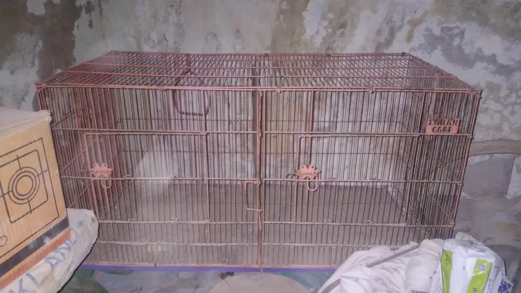 2 cages available ha agar dono cage loge to paisa Kam ho jay ge — photo 5