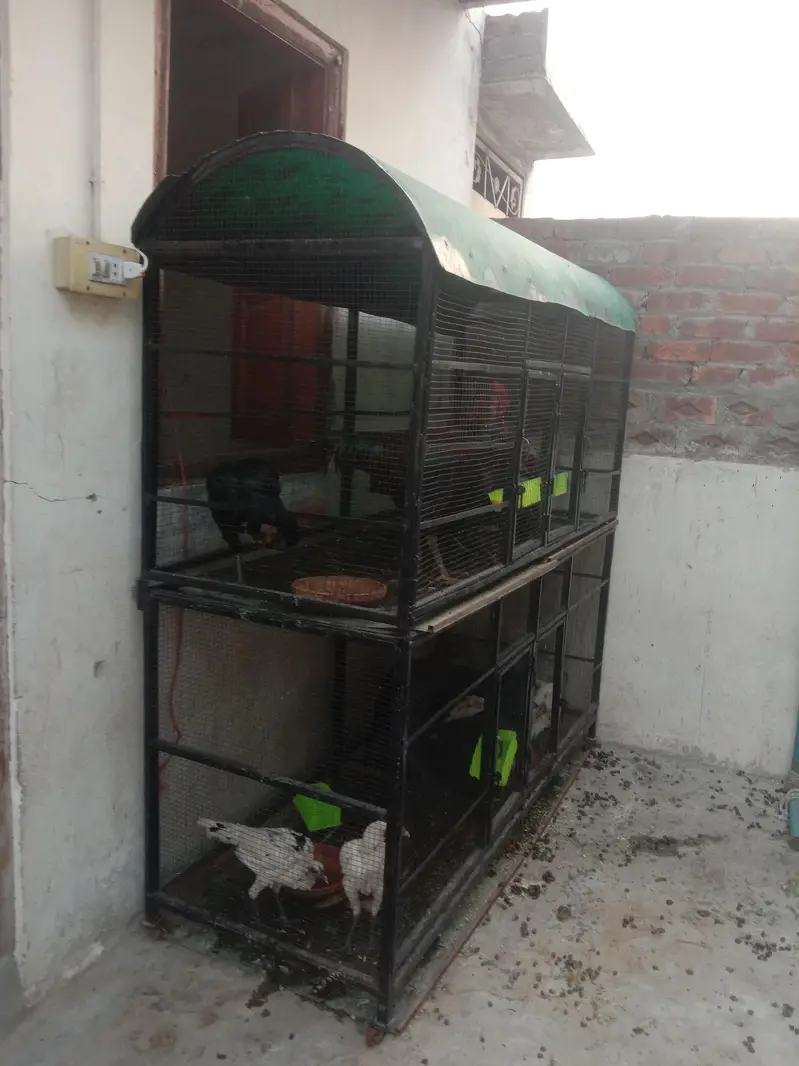 big cage for hen — photo 2