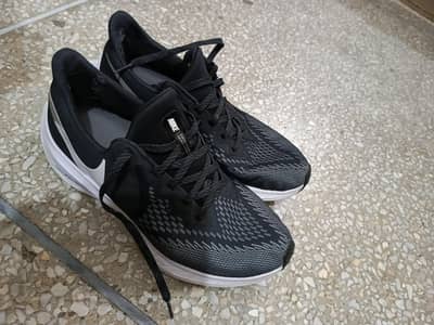 Nike air zoom winflo 6