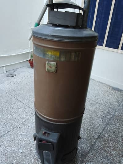 Original Gas Gyser