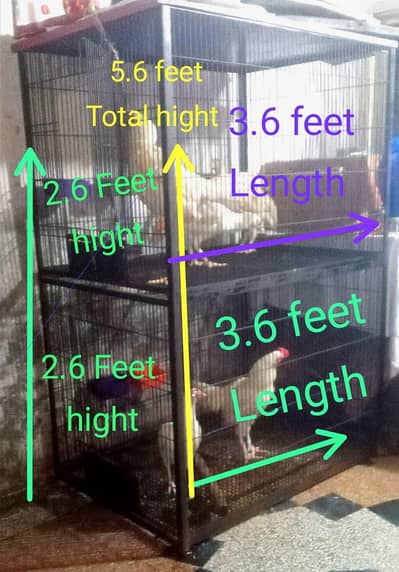 iron bird cage 18000 5.6hight 3.6 depth double box 301,7104771 cal wts