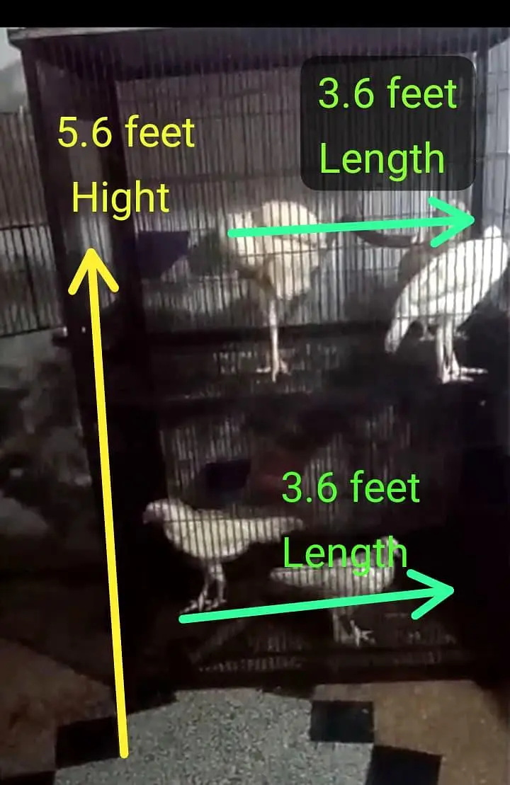 iron bird cage 18000 5.6hight 3.6 depth double box 301,7104771 cal wts — photo 3