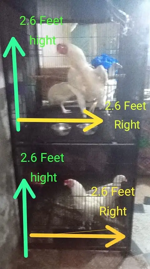 iron bird cage 18000 5.6hight 3.6 depth double box 301,7104771 cal wts — photo 4