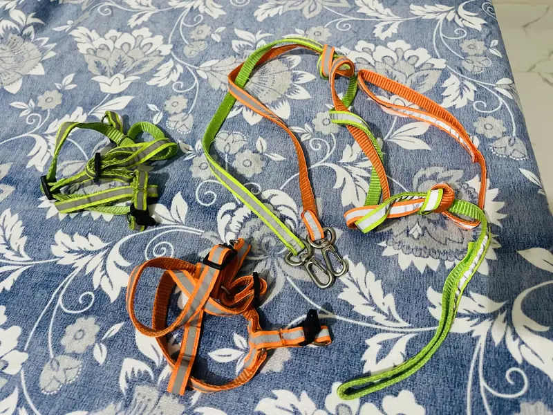 Cat items — photo 3