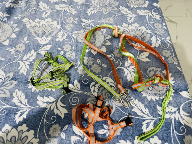 Cat items 7