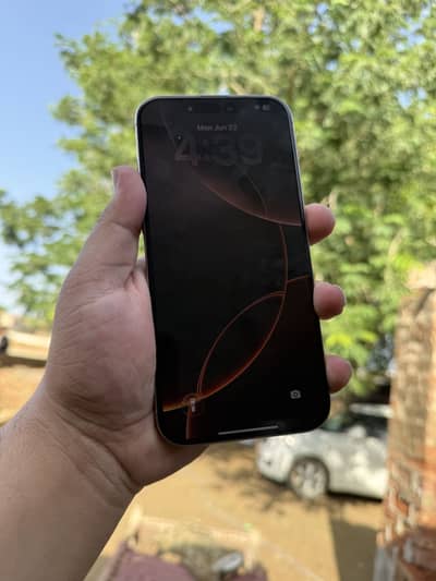 Apple iPhone 16 Pro Max bypass
