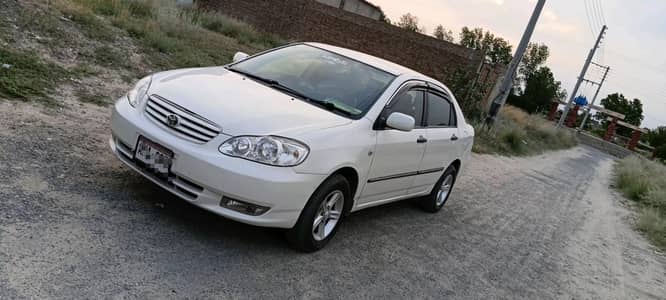 ANTIQUE XLI 2004