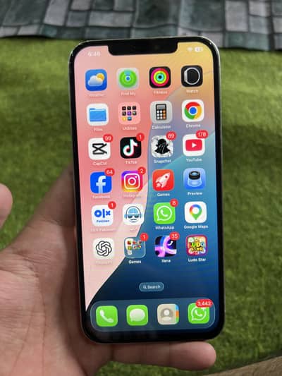 Apple iPhone 12 Pro Max all ok phone non pta