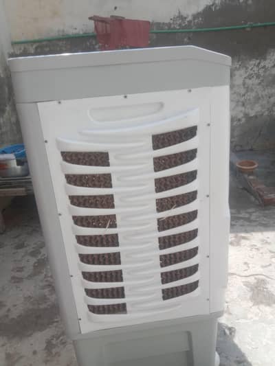 Ac DC Air Cooler