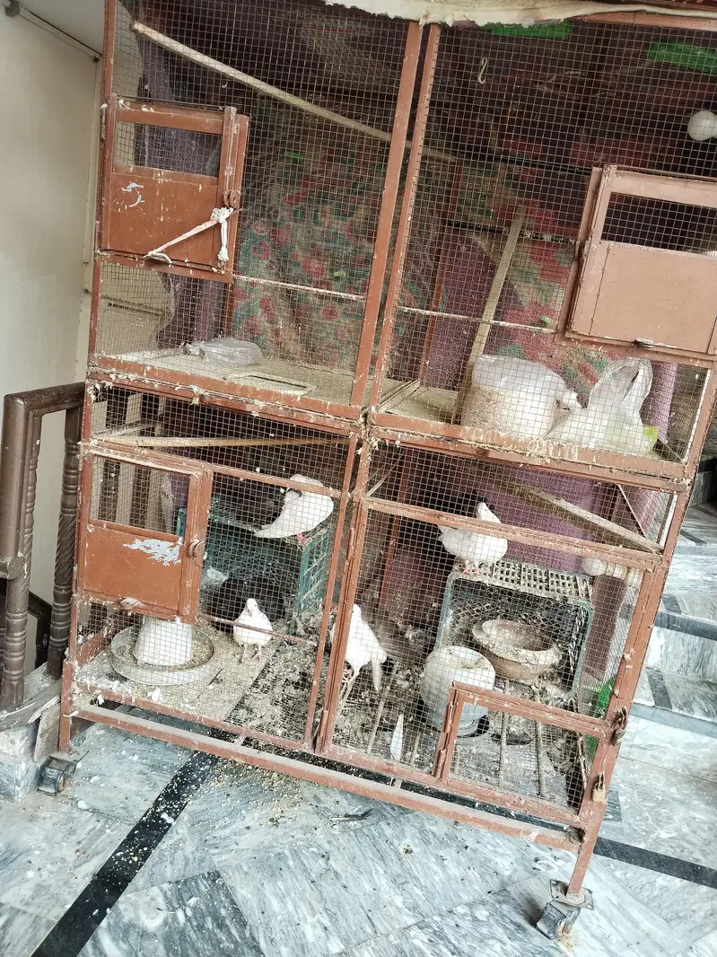 matel cage — photo 4