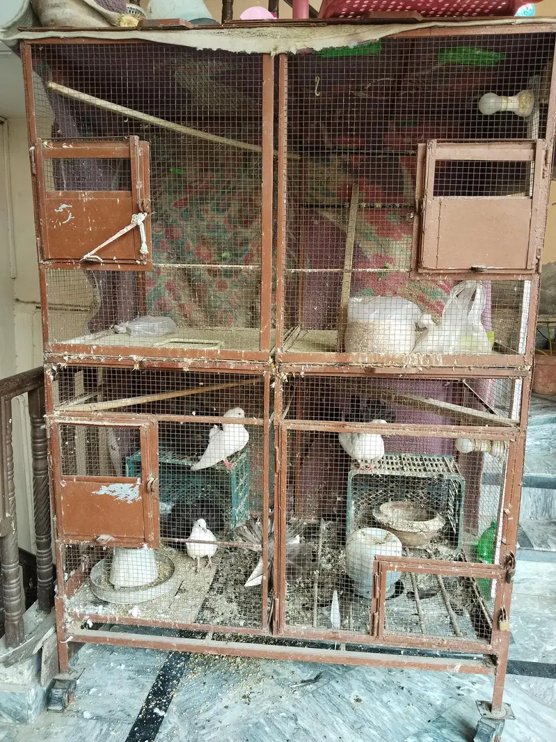 matel cage — photo 5