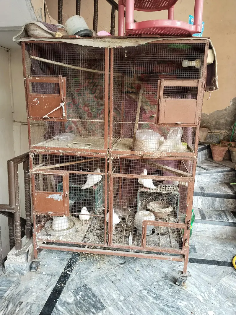 matel cage — photo 6