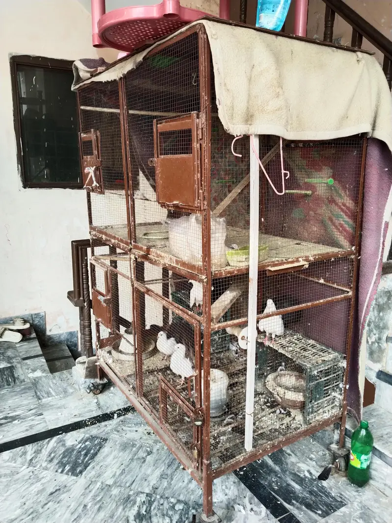 matel cage — photo 7