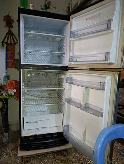 fridge and freezer