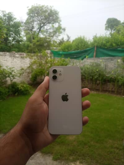 IPhone 12 (Non-pta)