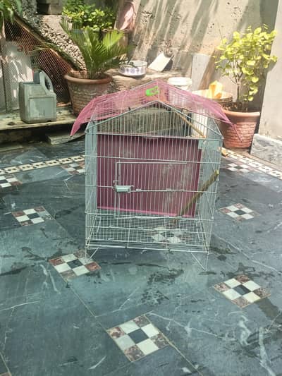 cage. pangra