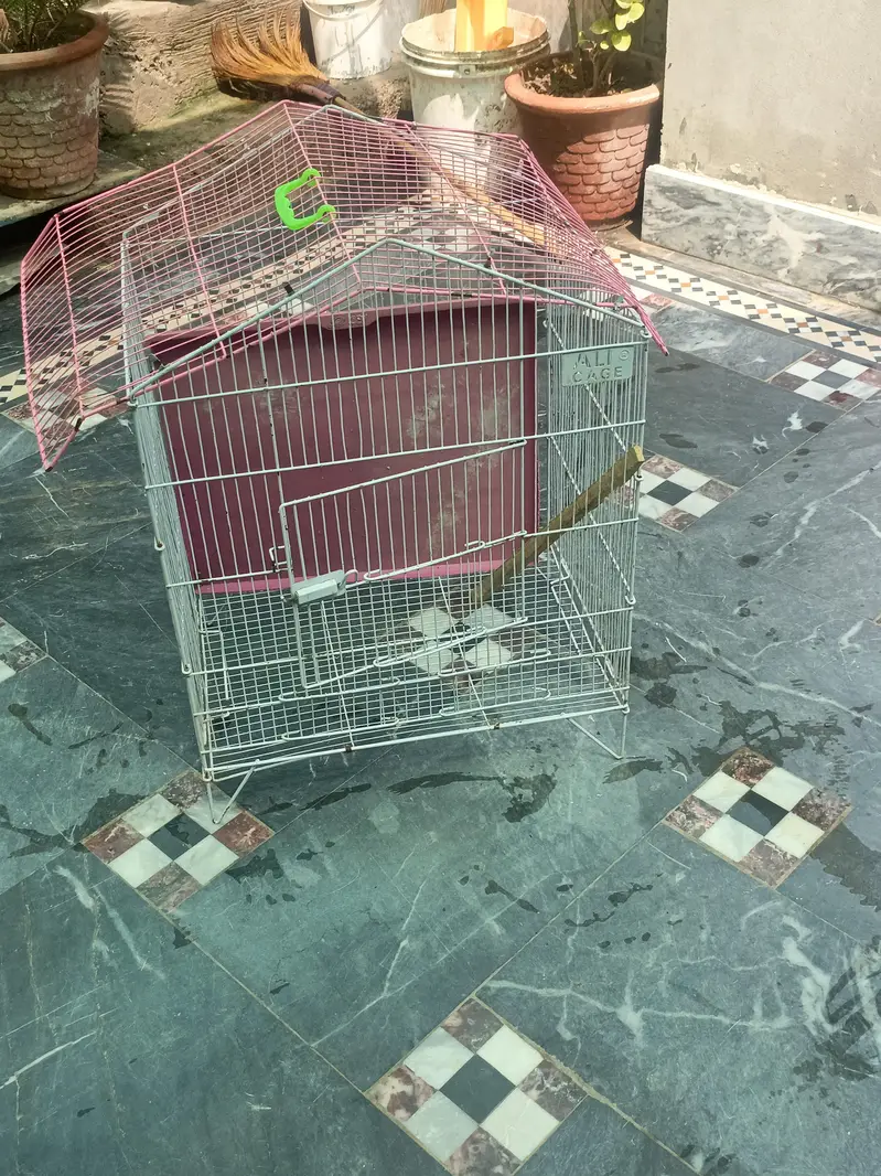 cage. pangra — photo 2