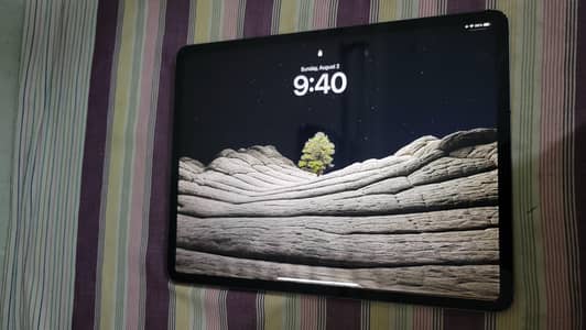 ipad pro 12.9 inches  4th generation
