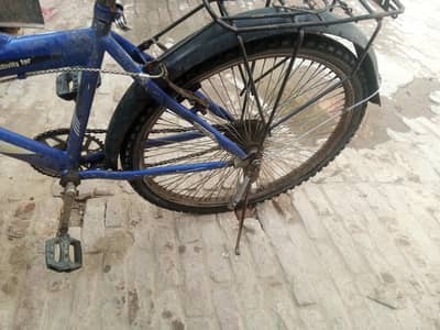 trigon company 1 year used 10000. final