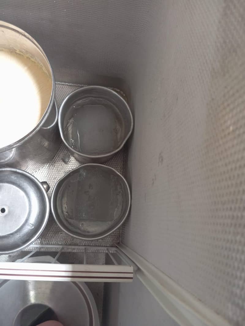 Deep freezer 5