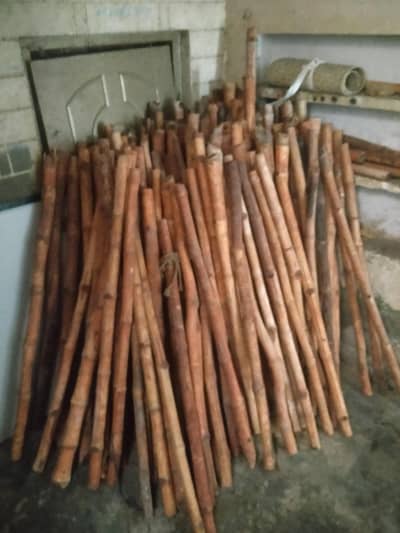Bamboo poles