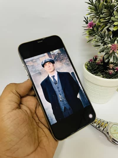 Apple iPhone 12 Pro Max (PTA Approved)