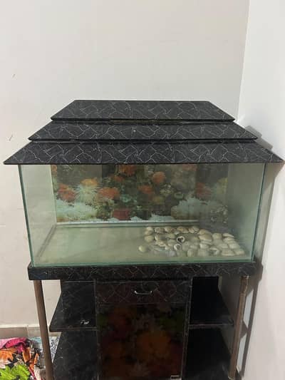 Urgent Aquarium For Sale