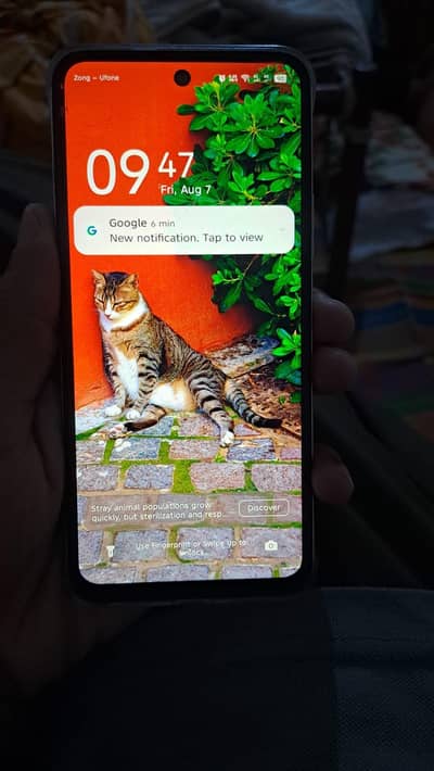 Infinix  smart 10 plus