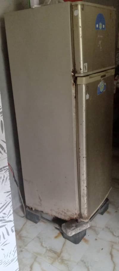 ekajat fridge