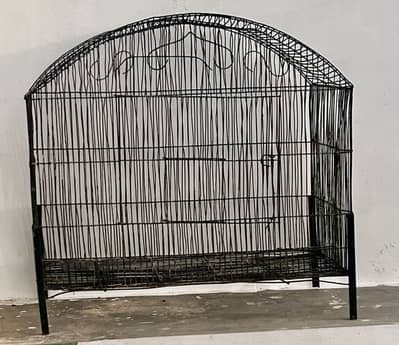 Parrot Cages