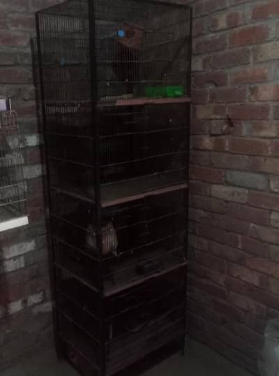 parit cage