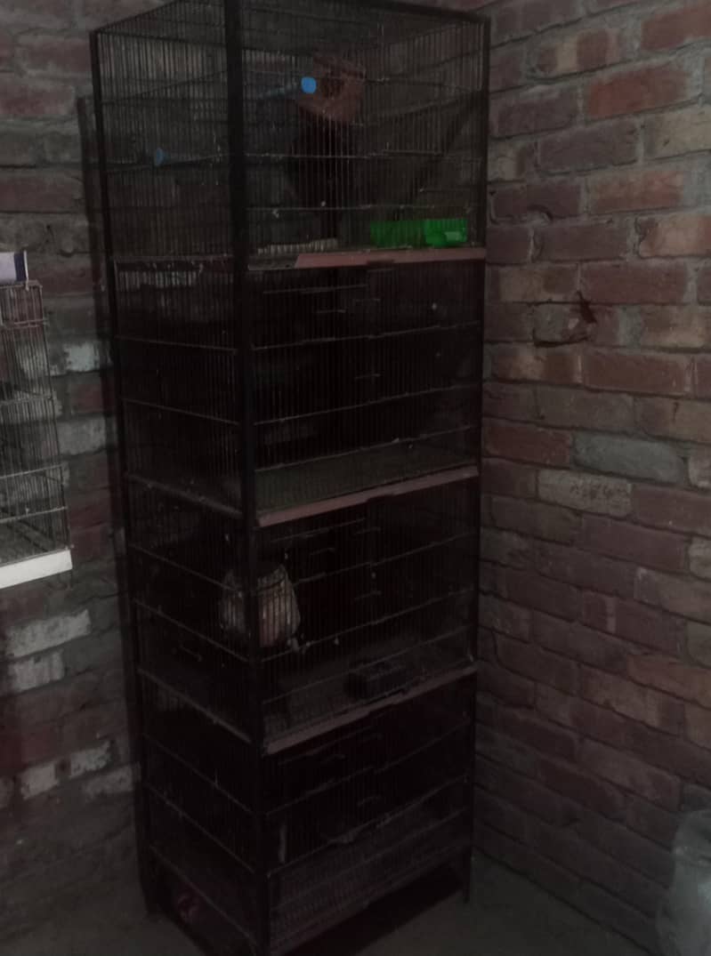parit cage 0