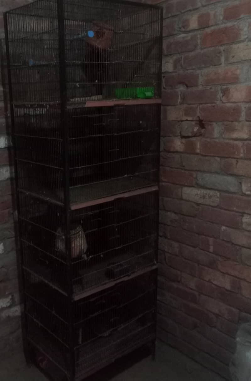 parit cage 1