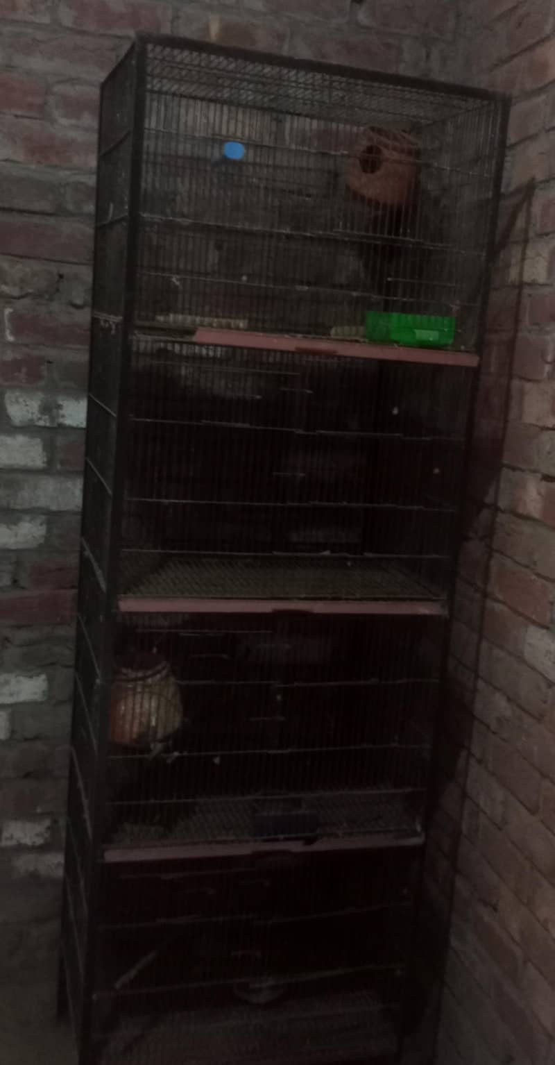 parit cage 2