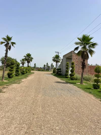 3 Kanal Primimum Living Land In Nazeer Farms